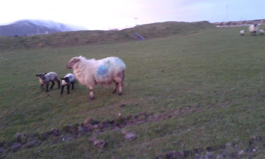 Bed and Breakfast Achill West Coast House Dooagh Экстерьер фото
