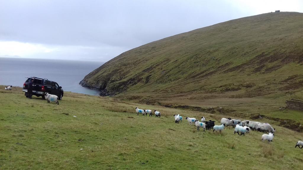 Bed and Breakfast Achill West Coast House Dooagh Экстерьер фото