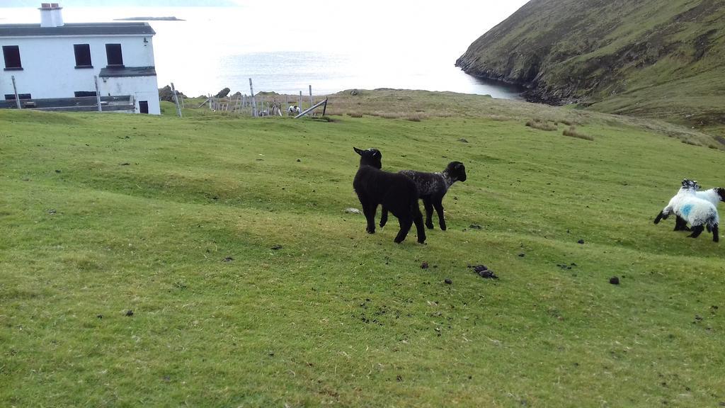 Bed and Breakfast Achill West Coast House Dooagh Экстерьер фото